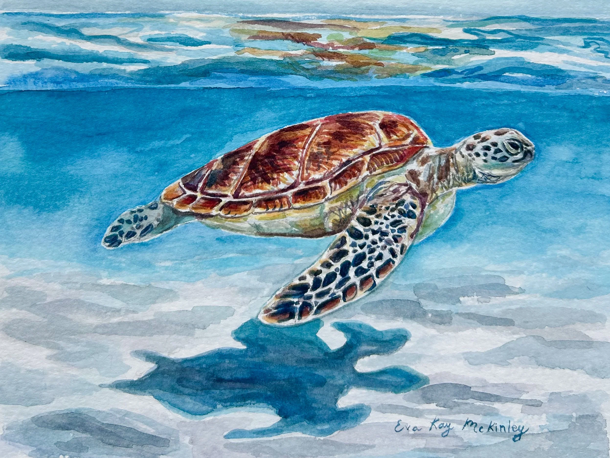 Sea Turtle - Aruba.JPG