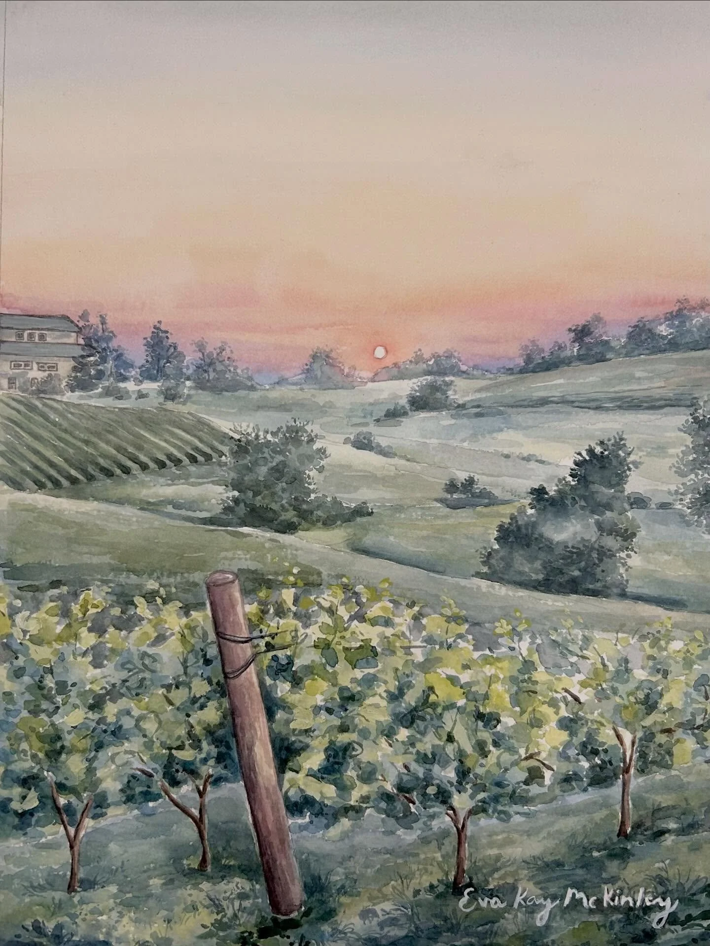 This painting is inspired by the sunsetting at Stone Tower Winery. I have been asked to paint this vineyard many times&hellip; so it&rsquo;s a joy to have it as part of my growing wine country collection! 

I&rsquo;ll be at Stone Tower this Friday. C