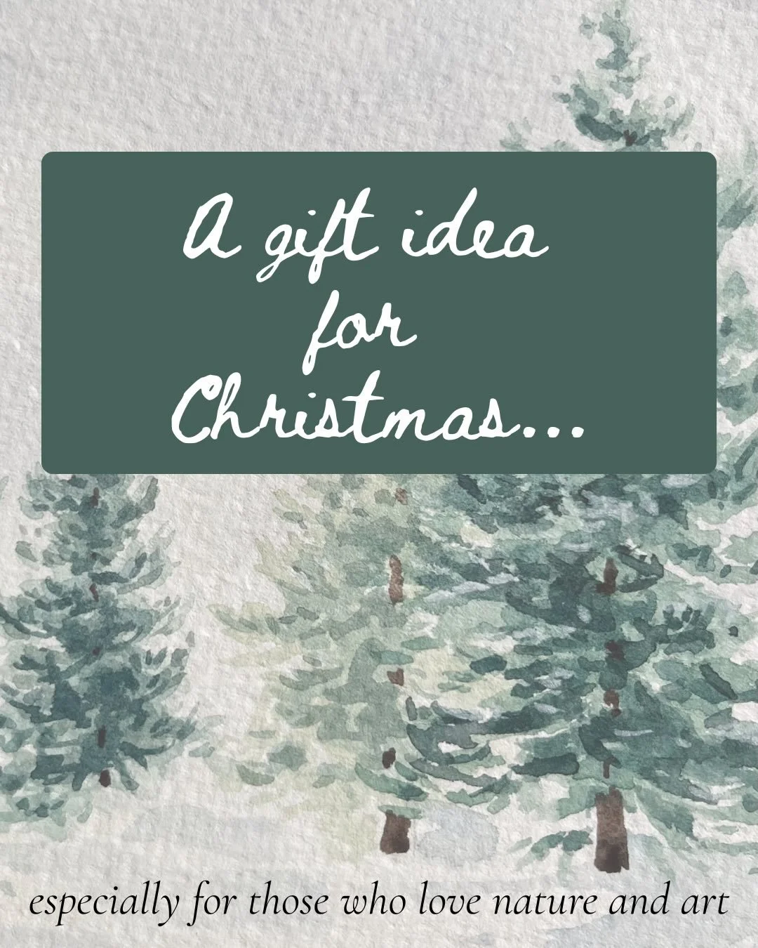 Gift certificates are now available for you to order in time for Christmas! 🎄✨ Clickable link in profile. https://www.theoldfashionedgirl.com/commissions

#loudouncountyva #lovevirginia #middleburgva #leesburglocal #giftcertificates