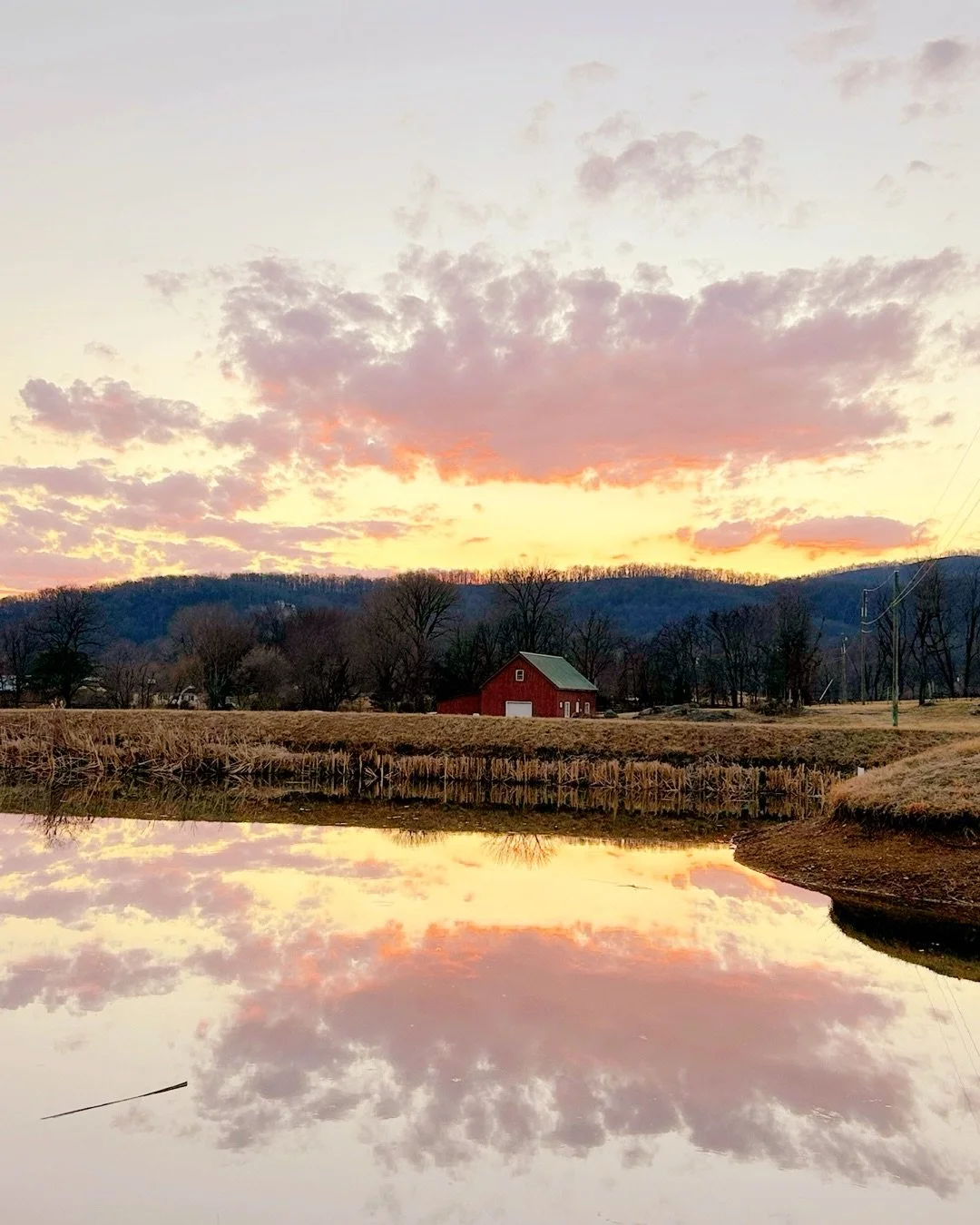 Last weekend was a great start to the Spring festival season at Philip Carter Winery. The views are incredible and of course, sunset was my favorite part. 💛💖

#virginiawinecountry 
#localartist
#sunset
#loudouncountyva 
#springfestival