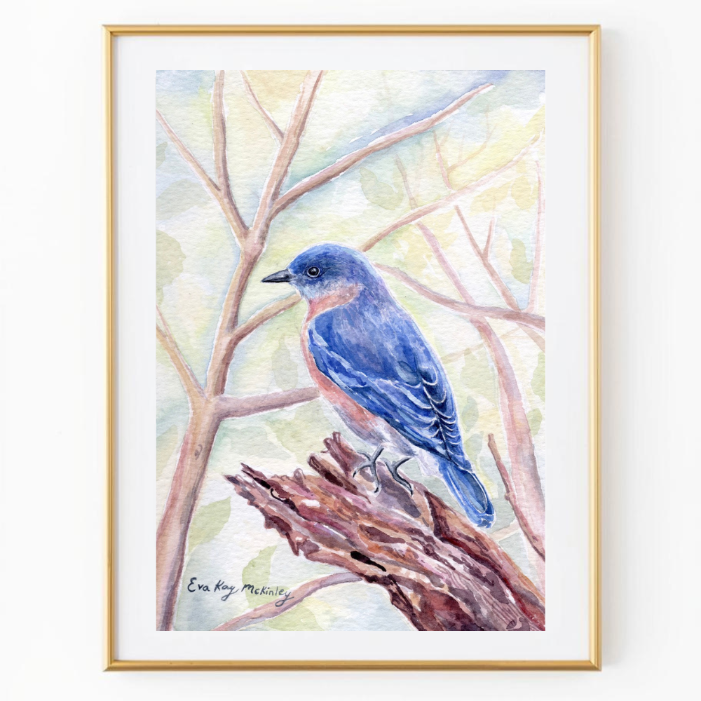 The Eastern Bluebird