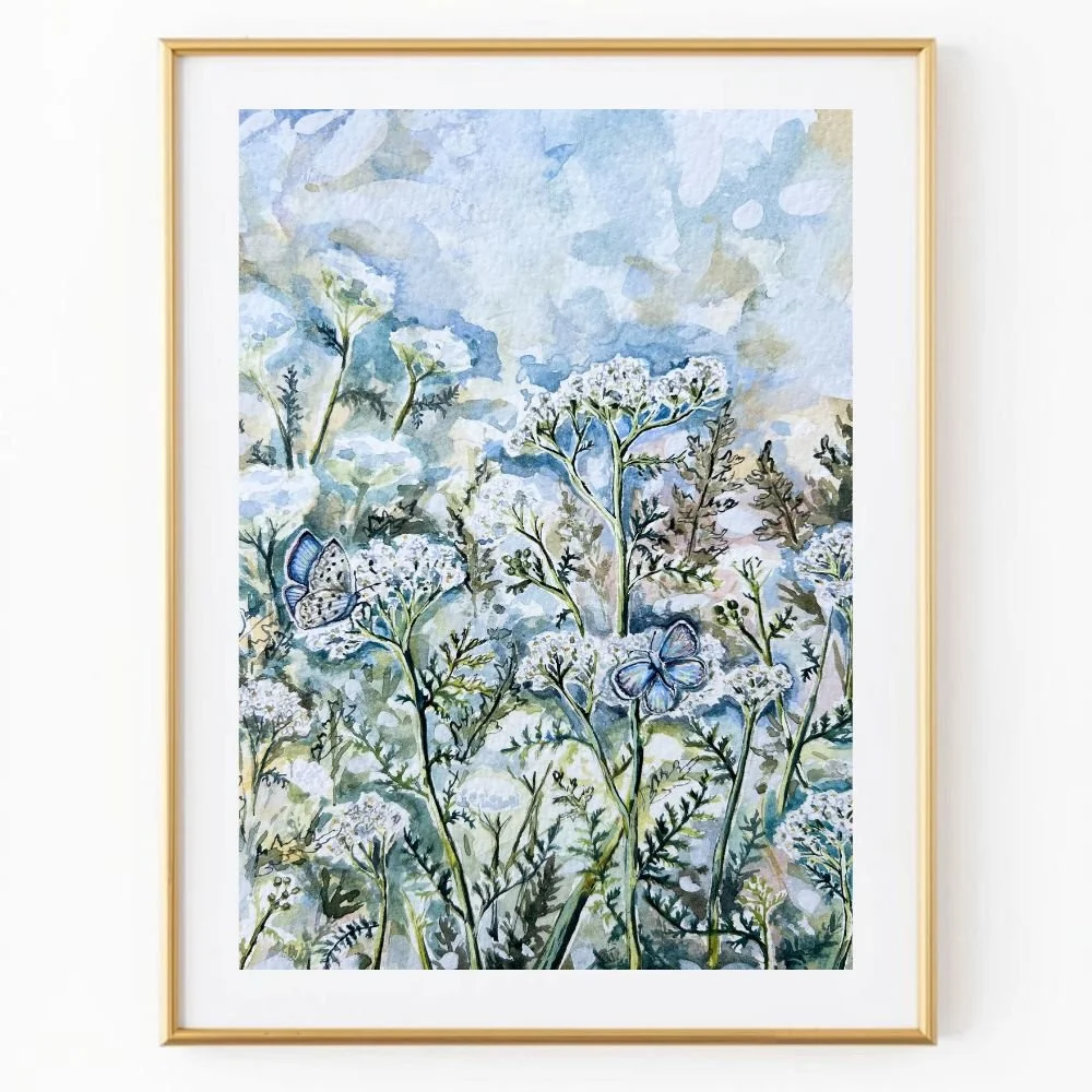 Fields of Yarrow