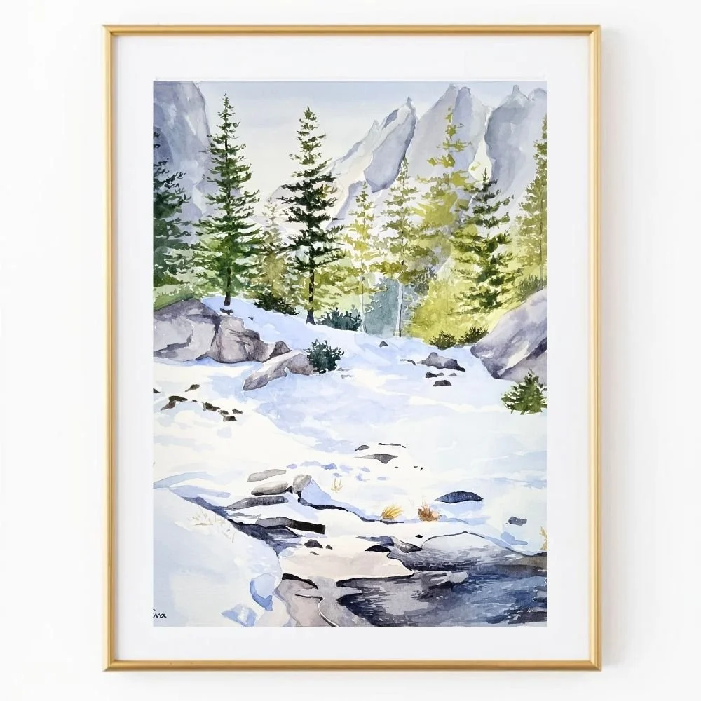 Frozen Creek at Rocky Mountain National Park