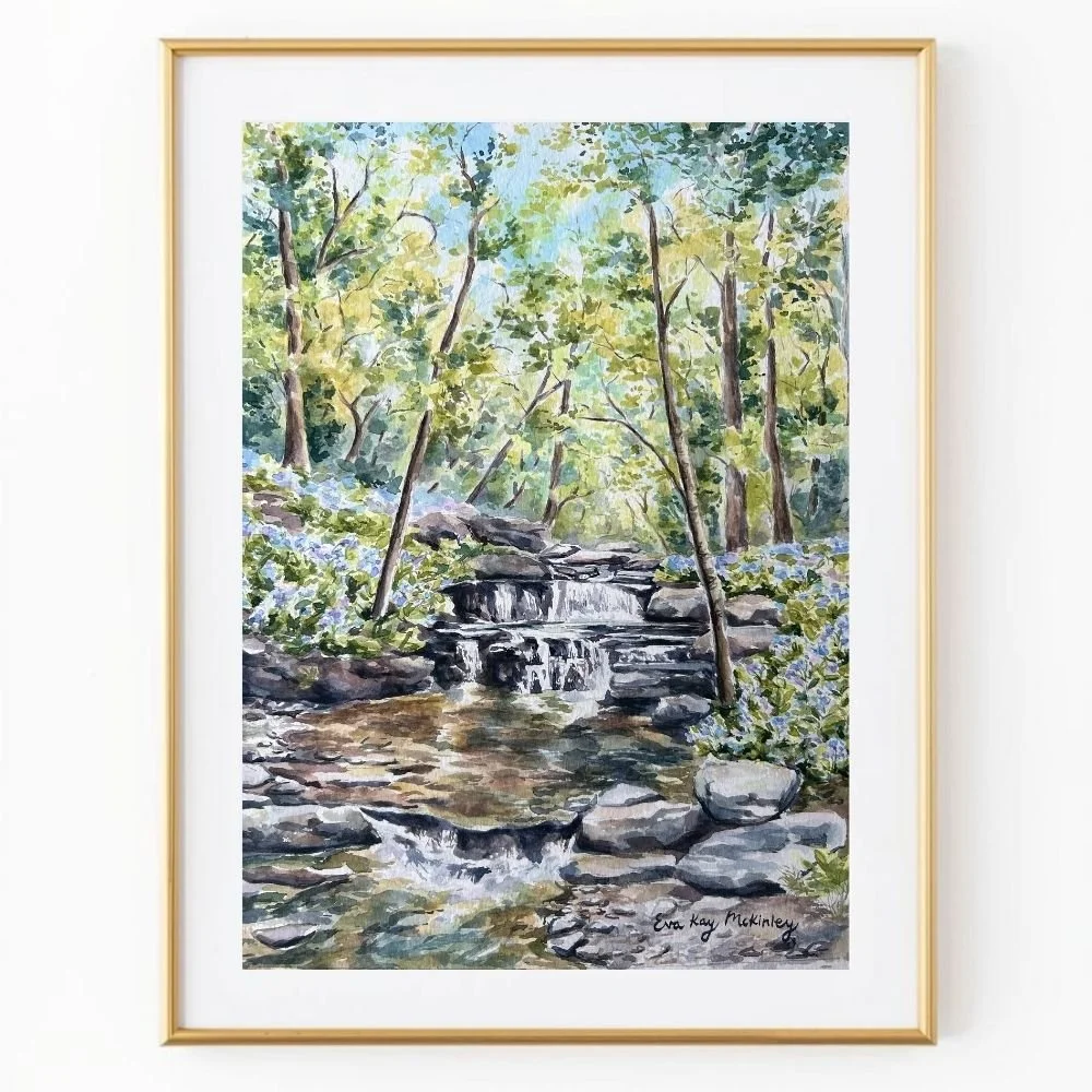 The Virginia Bluebells at Cool Spring