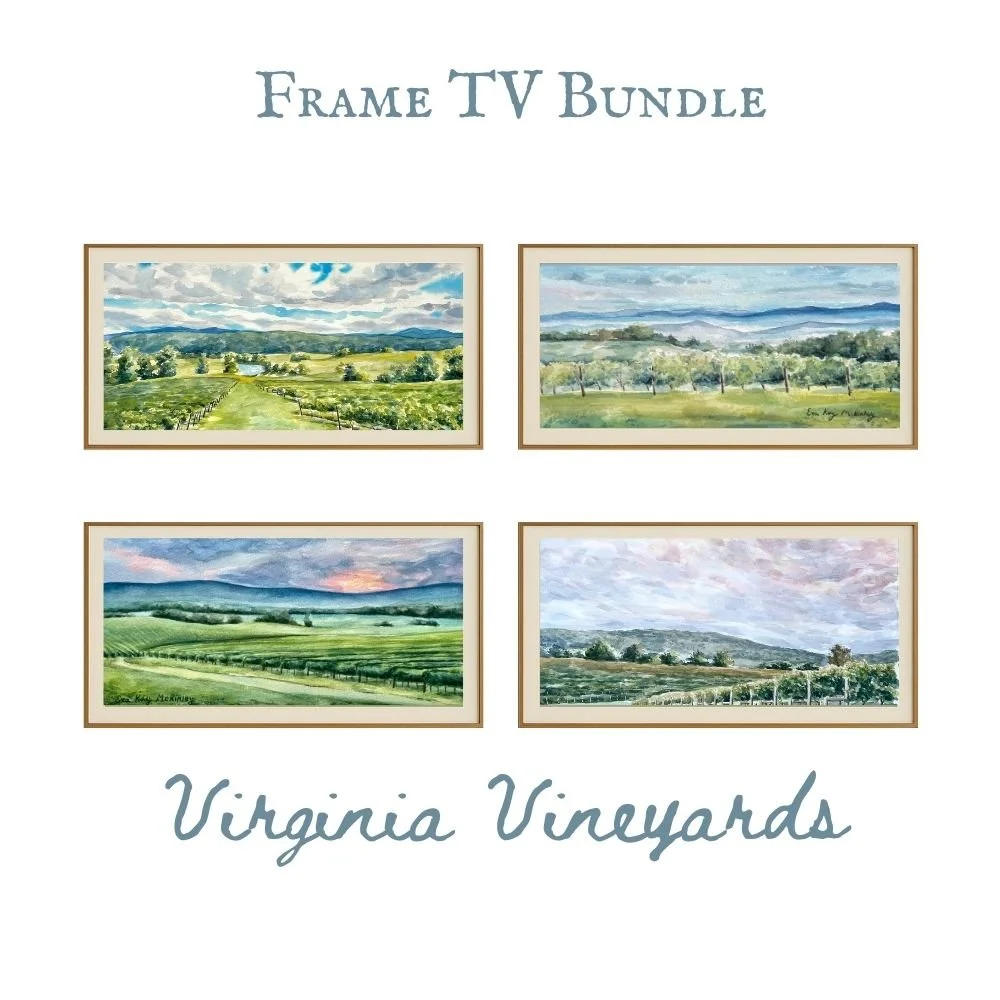 VA vineyards TV.jpg