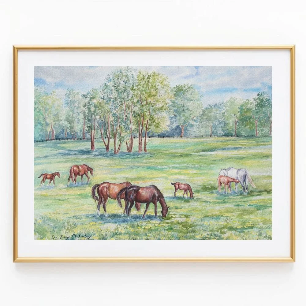 Foals and Mares in the Meadow - O'Sullivan Farms