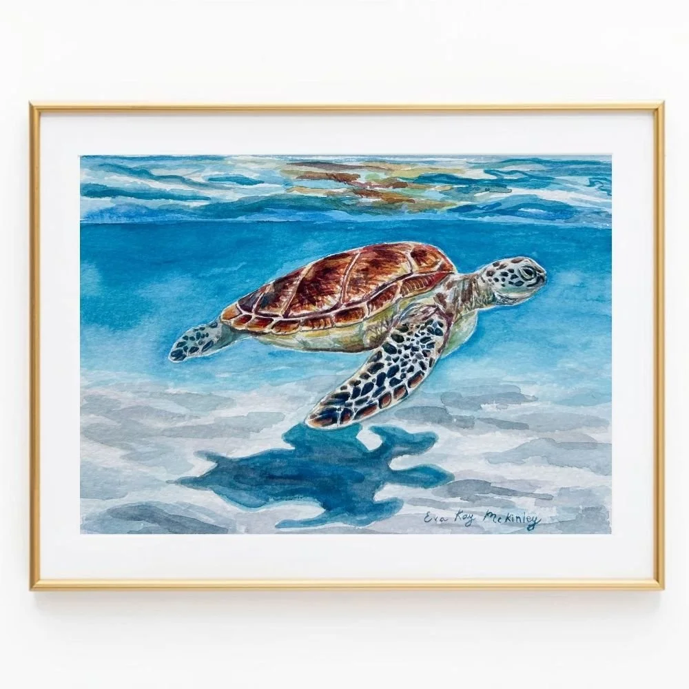 Snorkeling with Sea Turtles