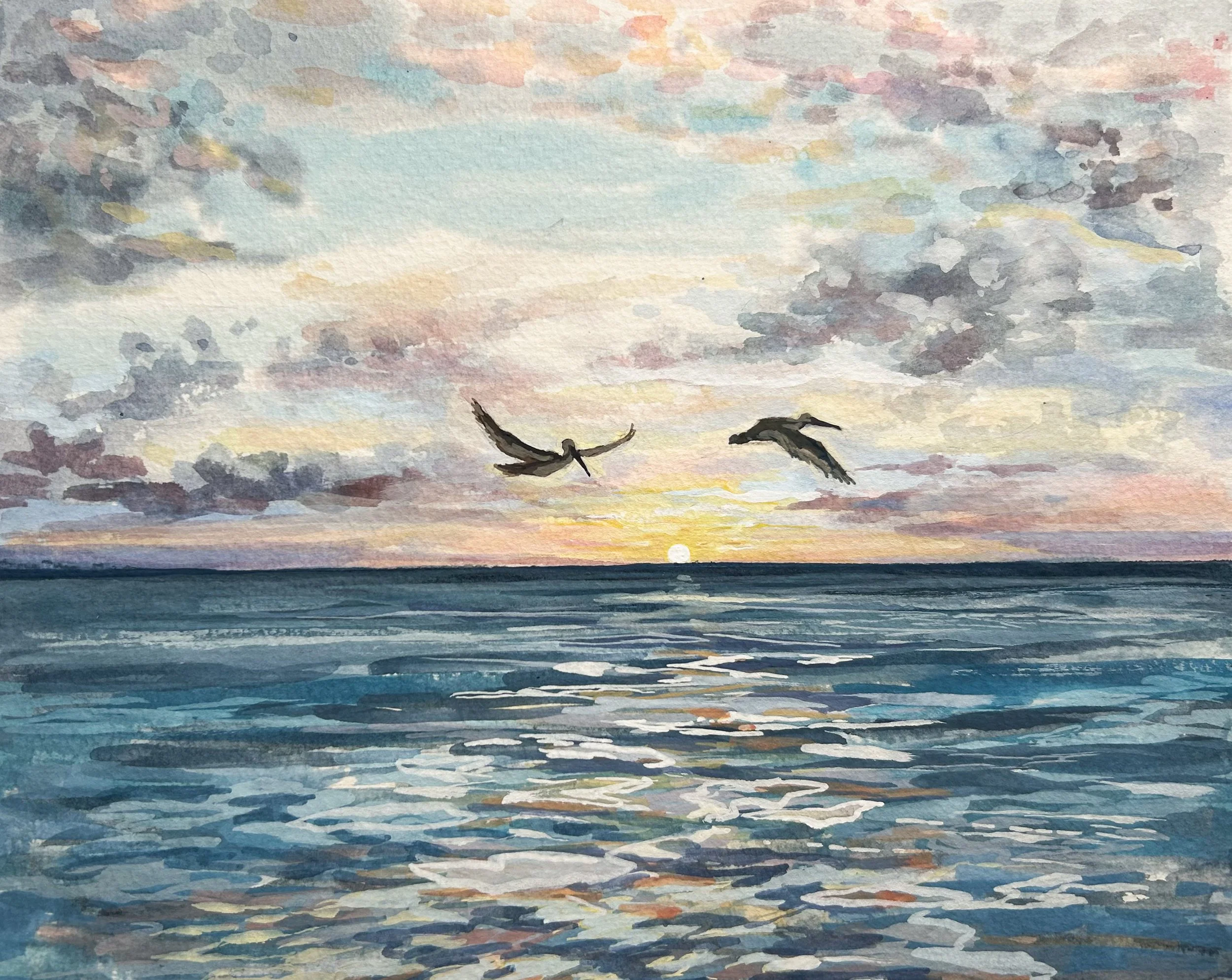 Pelicans and sunset - Aruba.JPG
