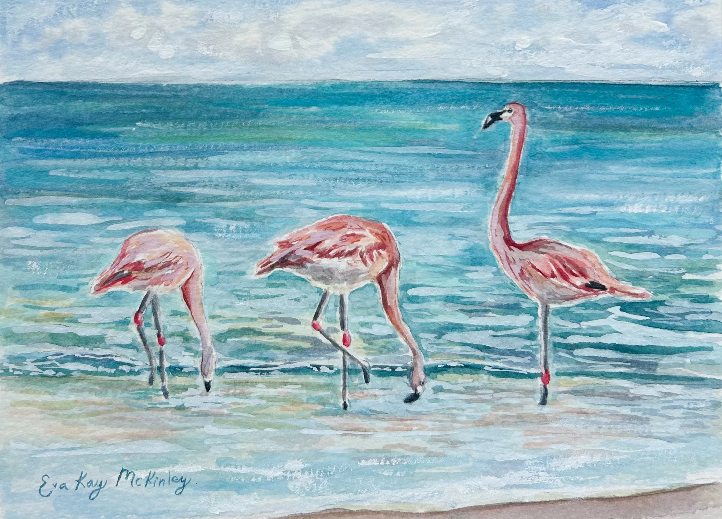 Flamingos - Aruba.JPG