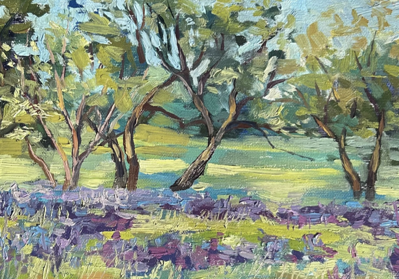 Camssia screenshot.png