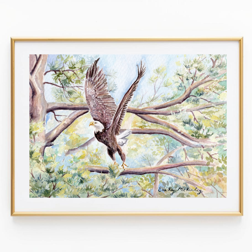 The Bald Eagle