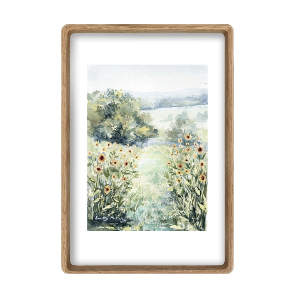 Fields of Sunflowers at Great Country Farms