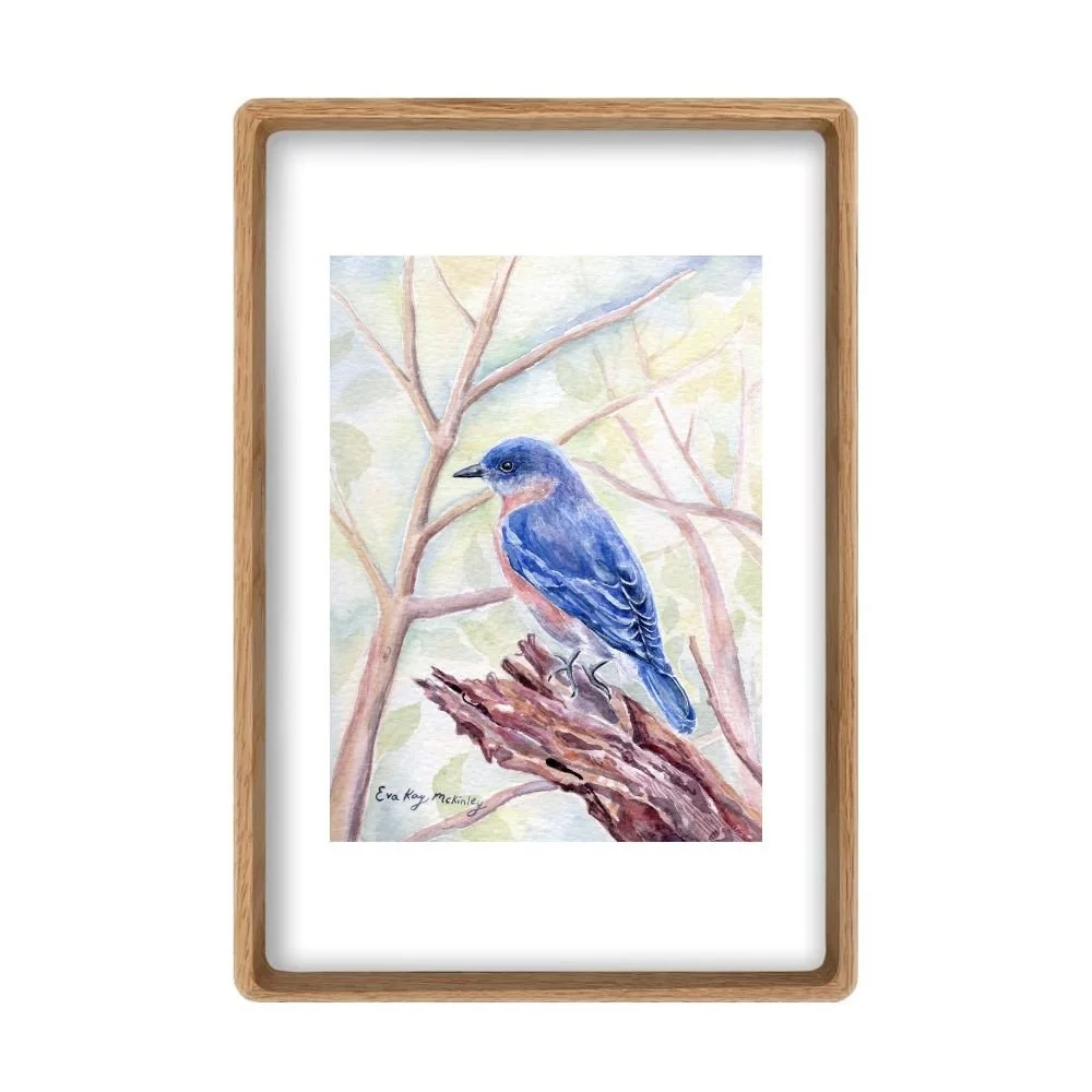The Eastern Bluebird