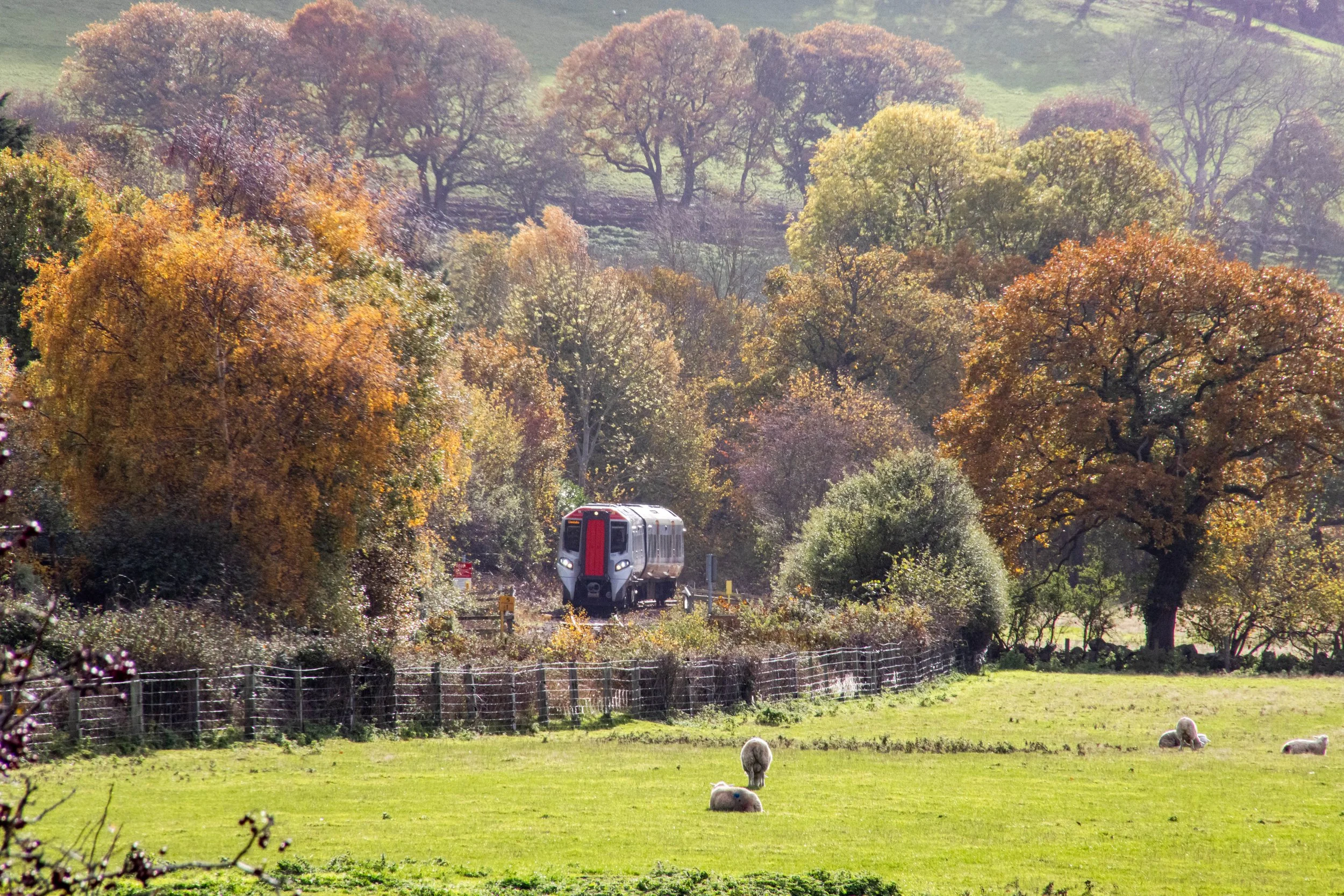 Conwy Valley Train