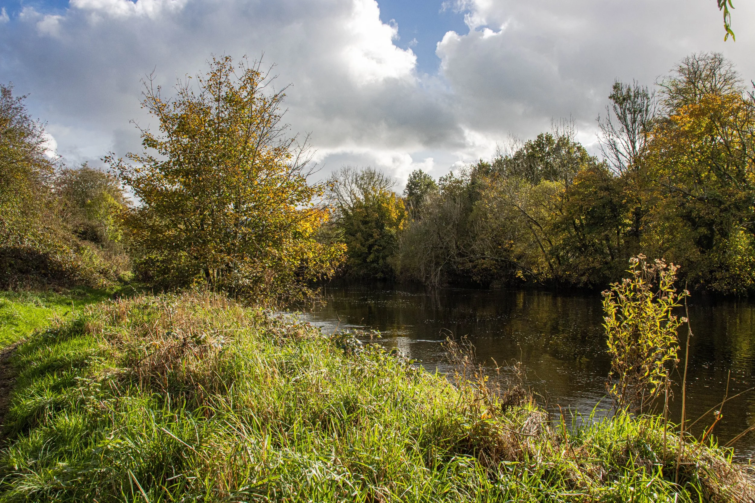 The river at River at Trefriw