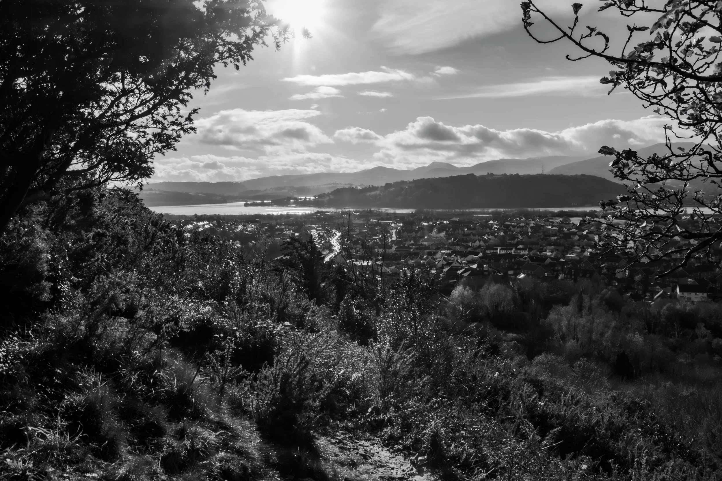 Conwy River from Marl Woods 