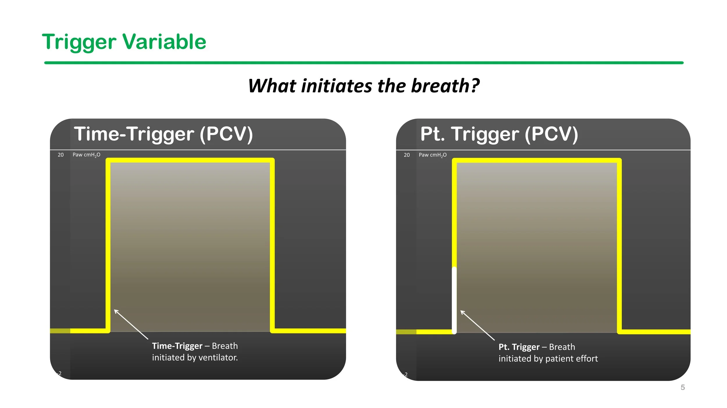 Phase Variable Taxonomy — Airway Academy