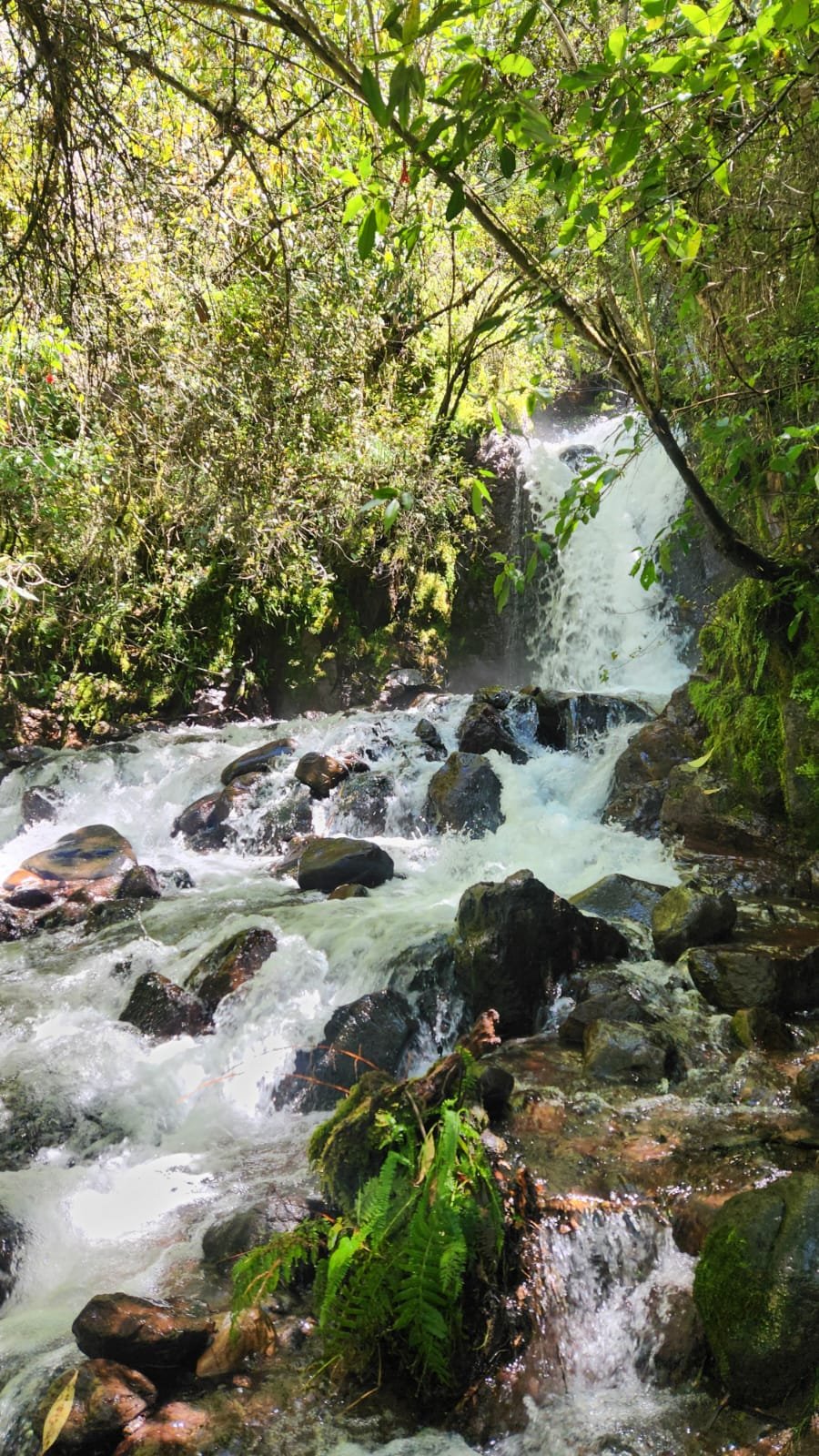 Hiking Sacred Valley Peru, Spiritual Retreat Plant Medicine Ceremony
