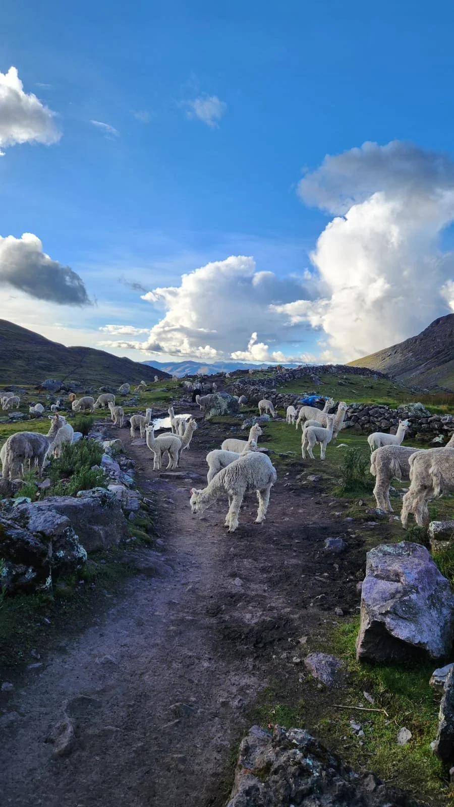 Peace, Healing and Magic in Ausengate Peru