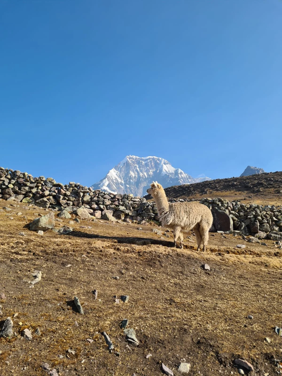 Spiritual Retreat in the Mountains of Peru