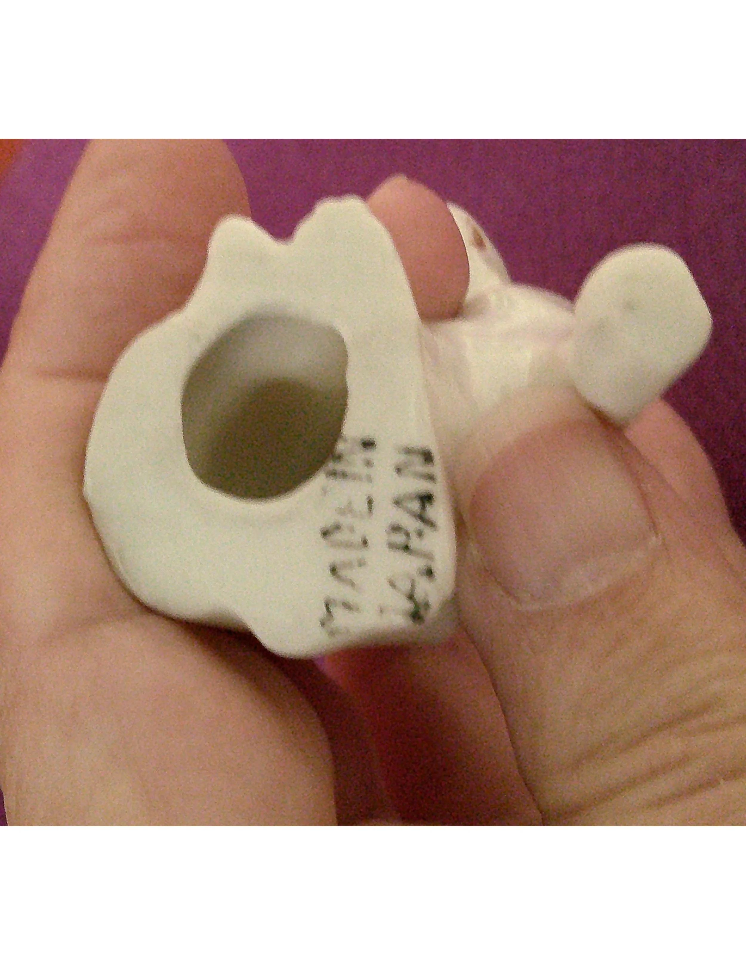 DSCF0074  German Shepherd Dogs  4.jpg