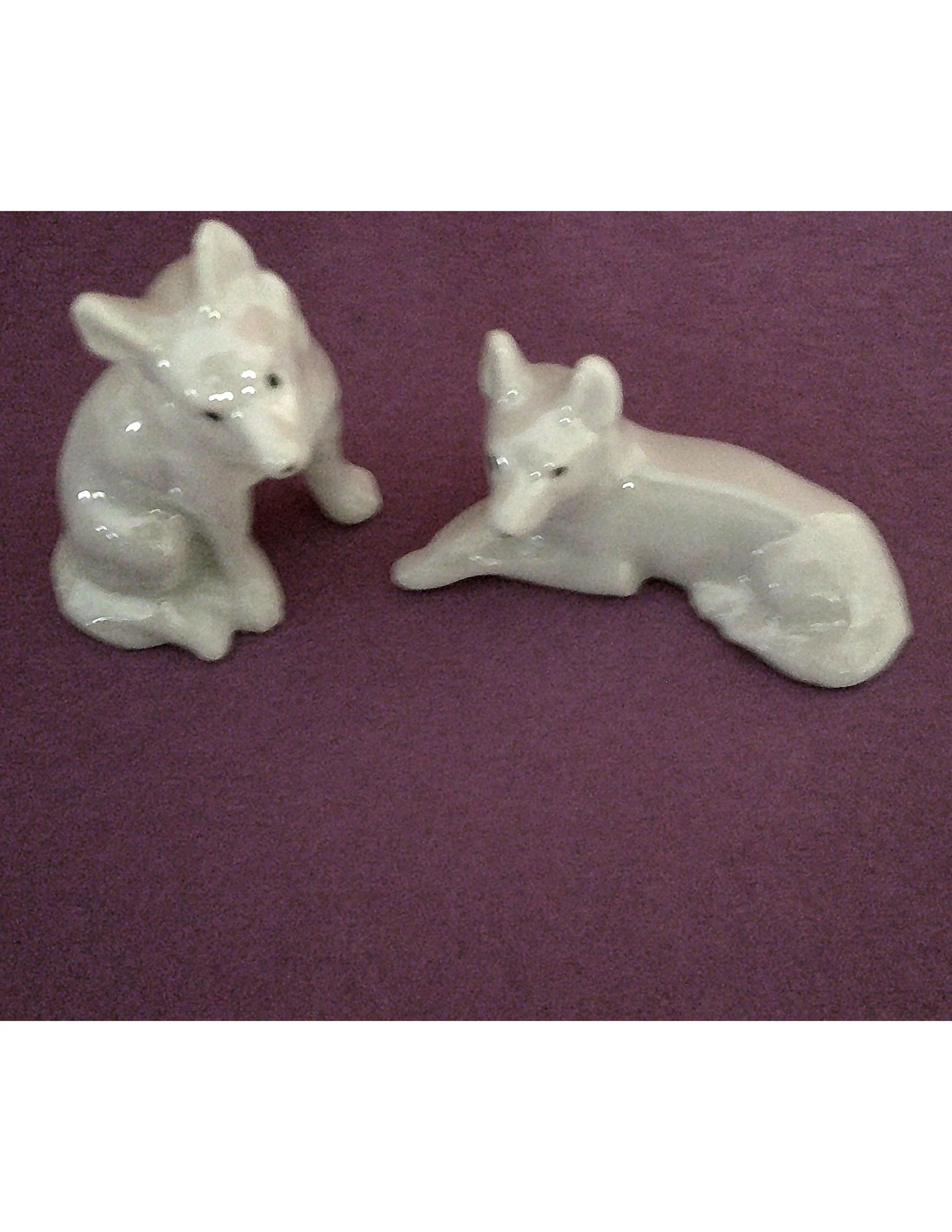 DSCF0076  German Shepherd Dogs  6.jpg