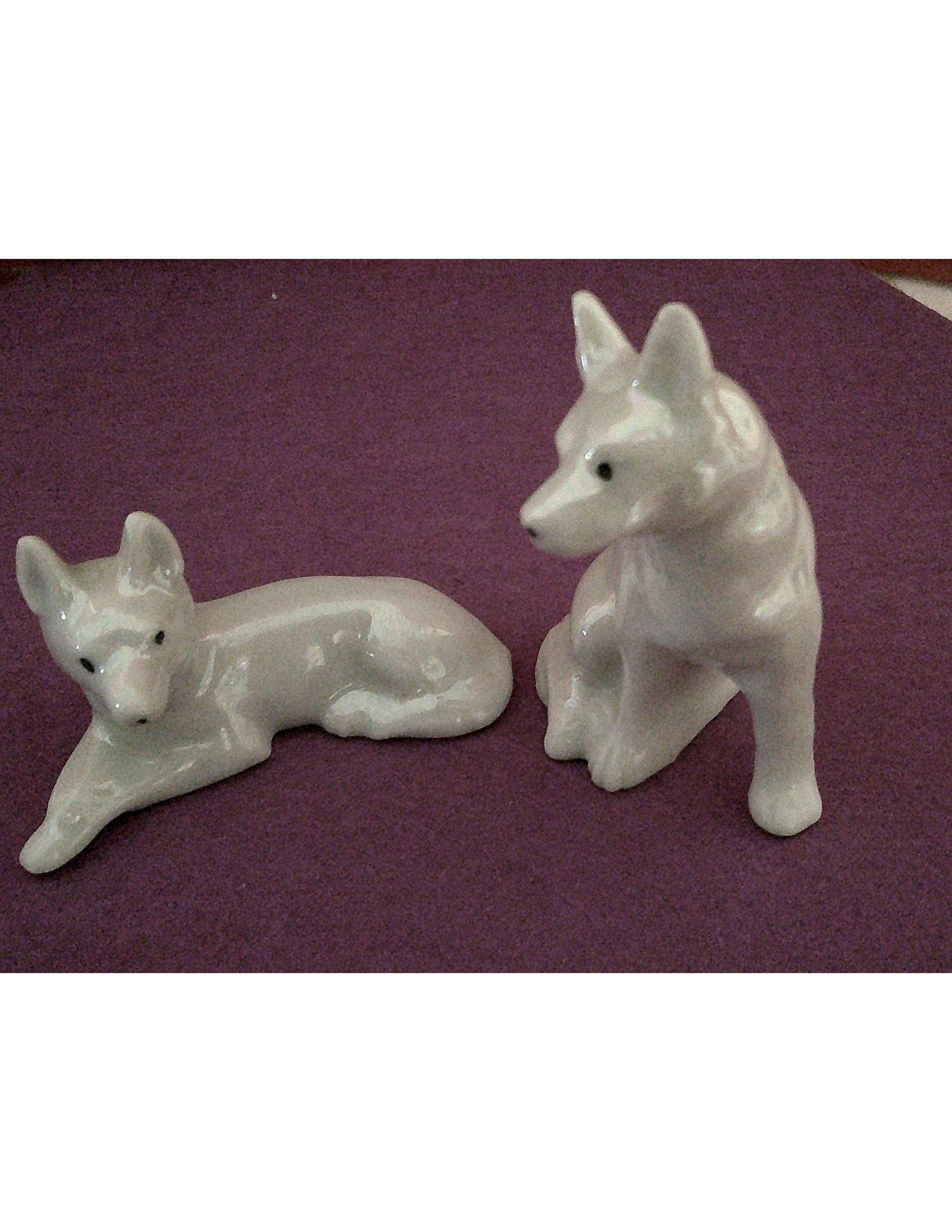 DSCF0072  German Shepherd Dogs  2.jpg