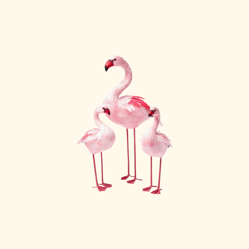 FAYE FLAMINGO FAMILY