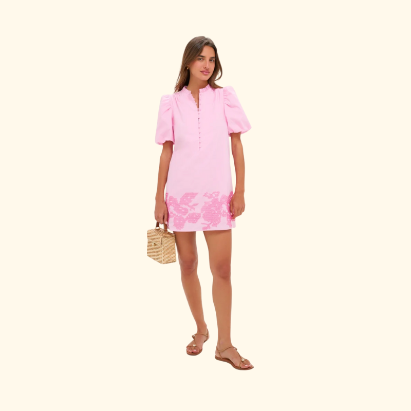 Pink Embroidered Mini Mimi Dress