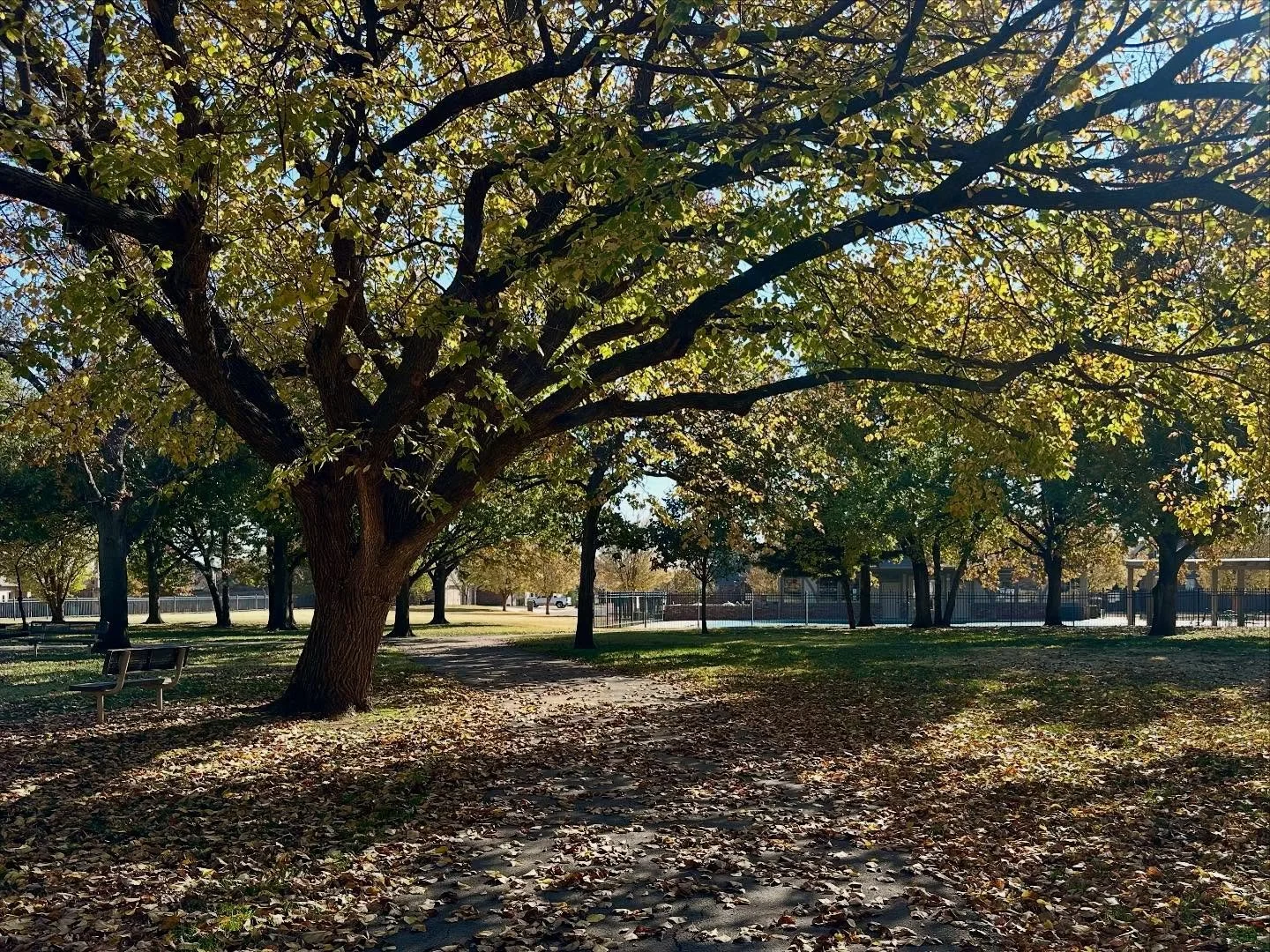 So much painting inspo lately. Fall is so beautiful 😍🍂