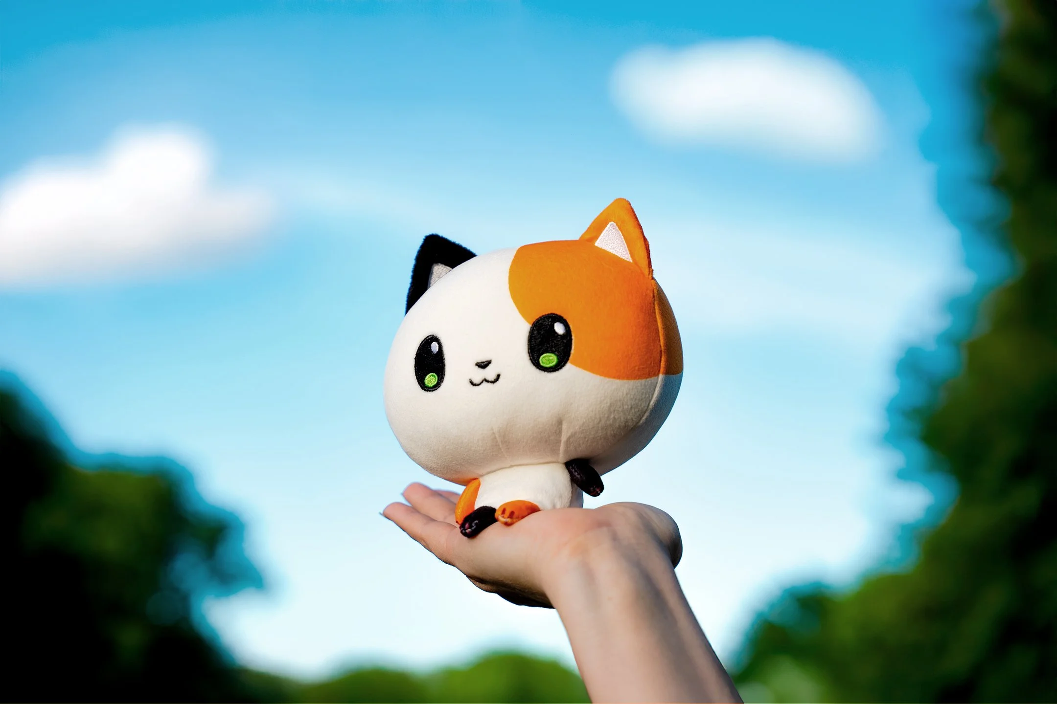 Copy-of-honeybean--7.jpg