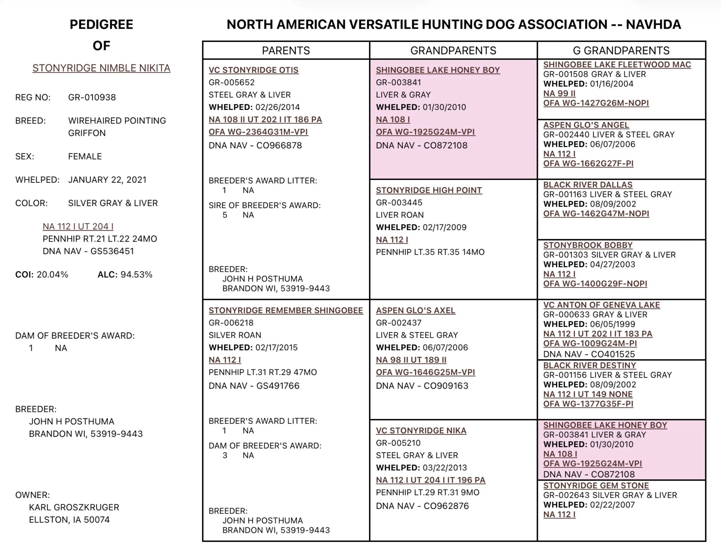 Pedigree of Stonyridge Nimble Nikita