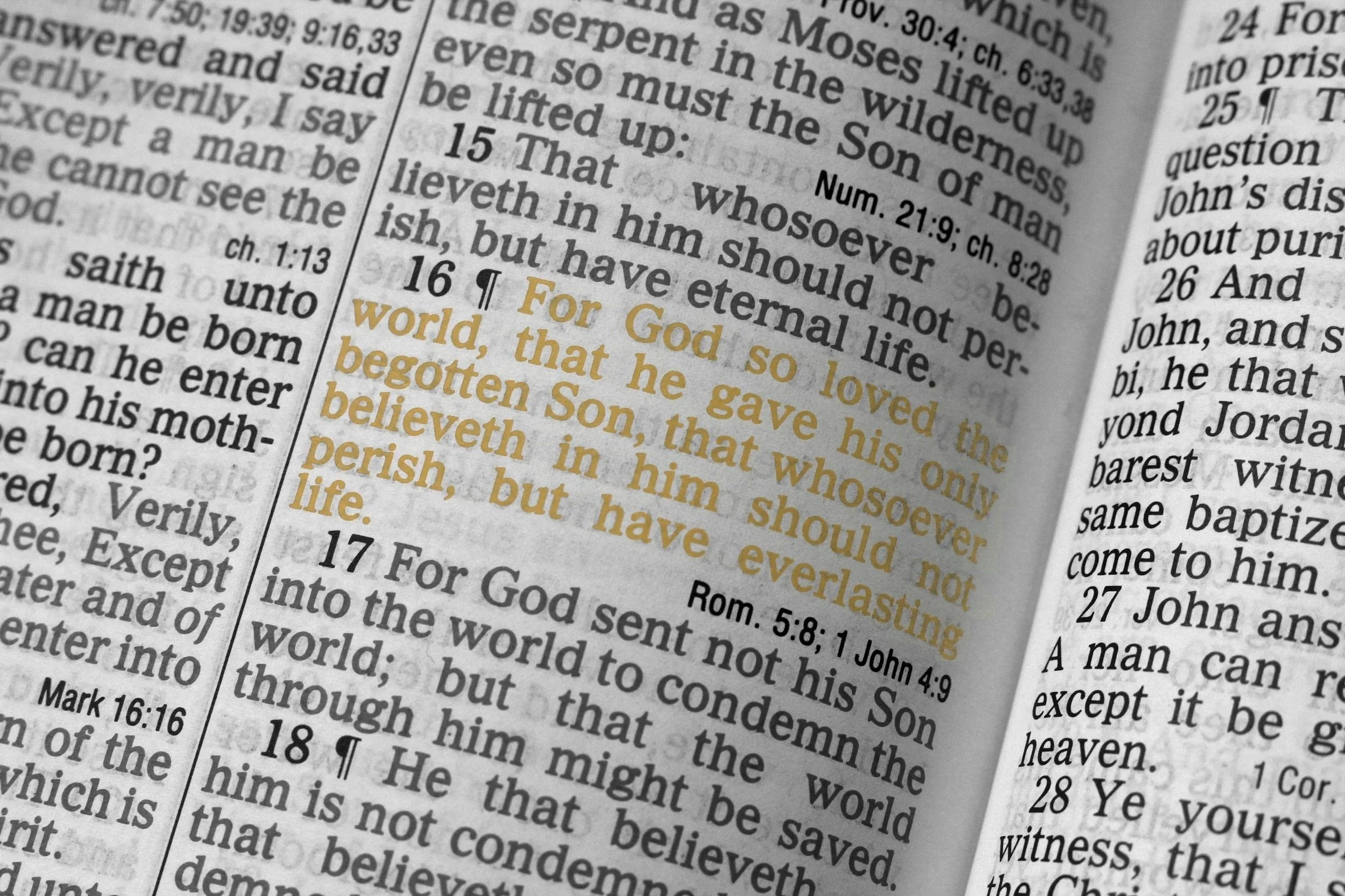 Close-up of a Bible or religious text with highlighted and underlined passages.