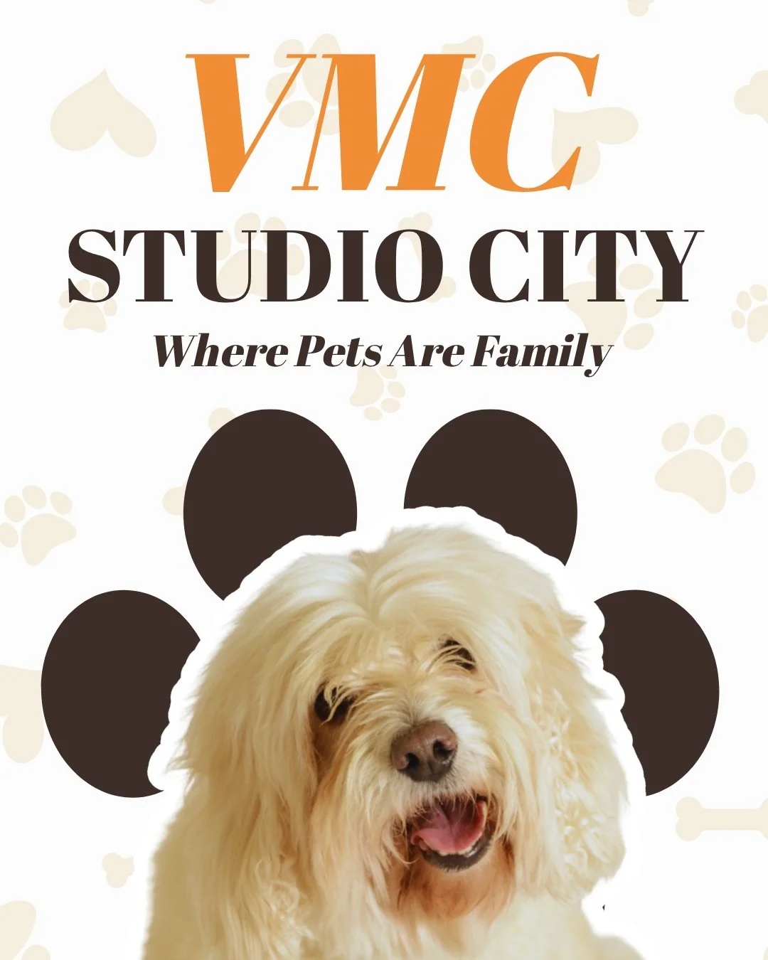 Some places treat pets.

This place cherishes family.

At @vmcsc, care begins with presence, slowing down, listening deeply, and honoring the bond between humans and their animals. From preventive care to complex medical moments, the team here treats