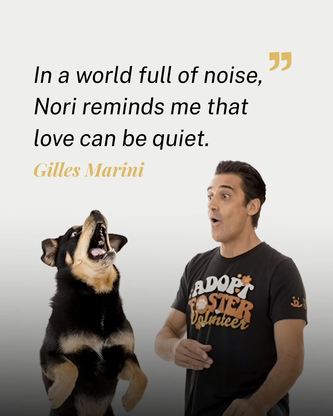 Sometimes love doesn&rsquo;t show up in grand speeches or spotlight moments.

Sometimes it shows up on four paws, quiet mornings, and the kind of presence that reminds you what truly matters.

For Gilles Marini, Nori isn&rsquo;t just a dog. She&rsquo