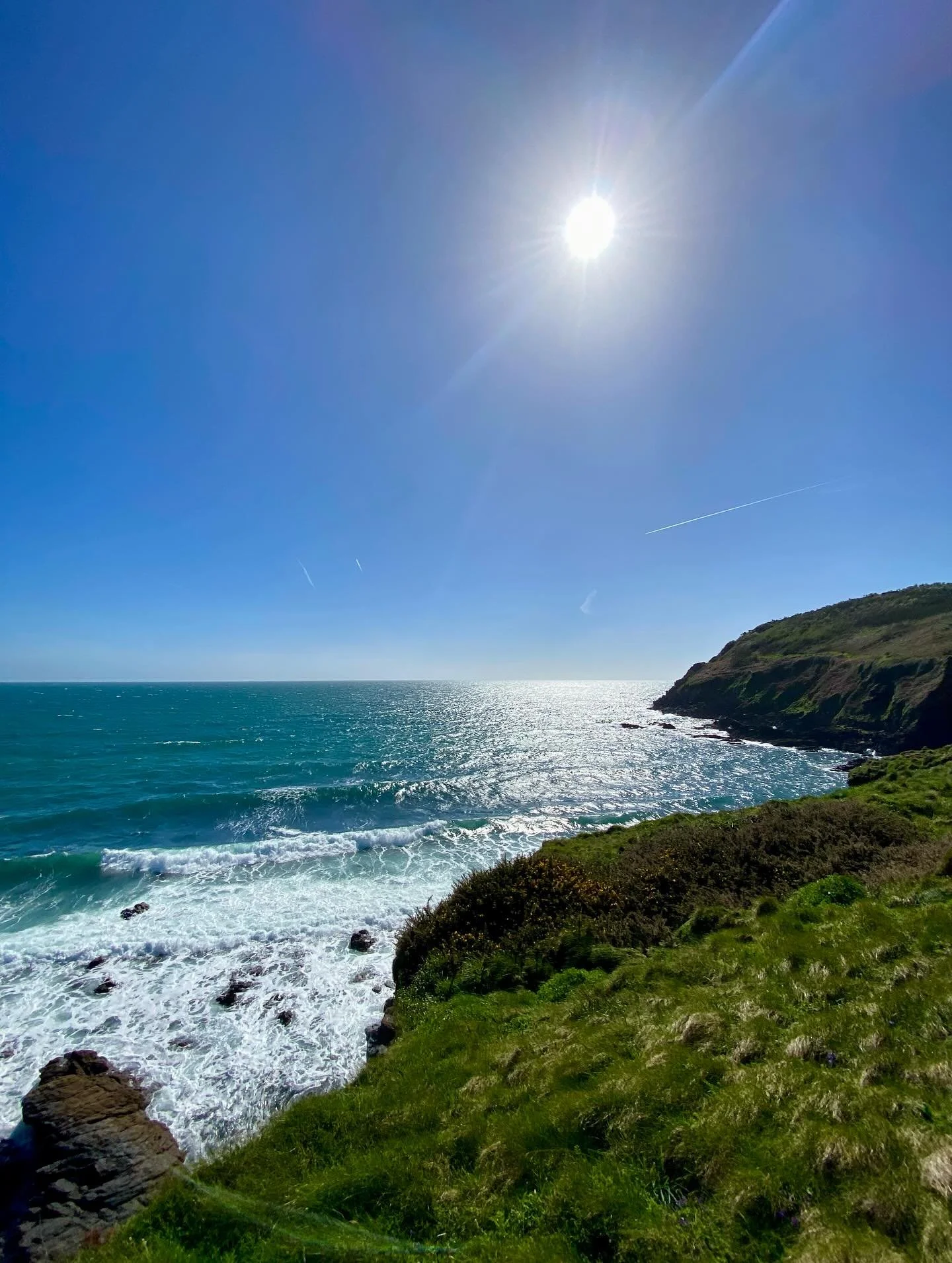 Some pics from our hike along the coastal path yesterday ☀️🌊 My eldest daughter and I walked for about four and a half hours, stopping for a picnic lunch midway. We encountered a herd of excitable and bucking cows (behind a fence happily and Luna wa