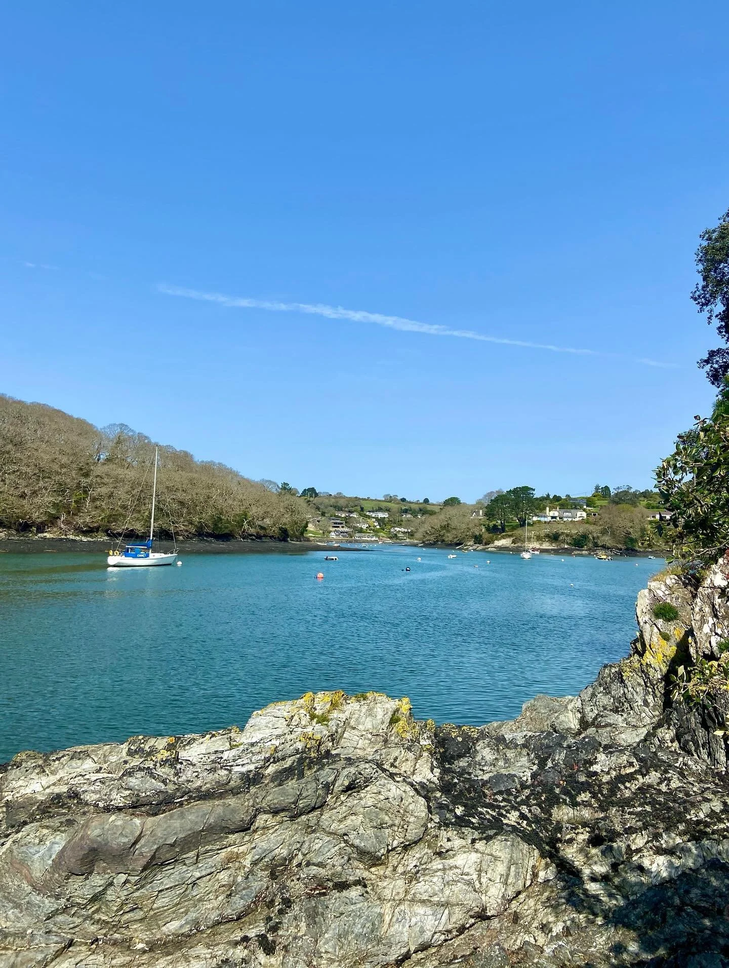 Some pics from our walk on the north side of the beautiful Helford River 🩵🌊 Love this walk which feels rockier an more coastal in a way than the path on the equally gorgeous, woodsy south side. It's always sad to leave Cornwall but this time I'll b