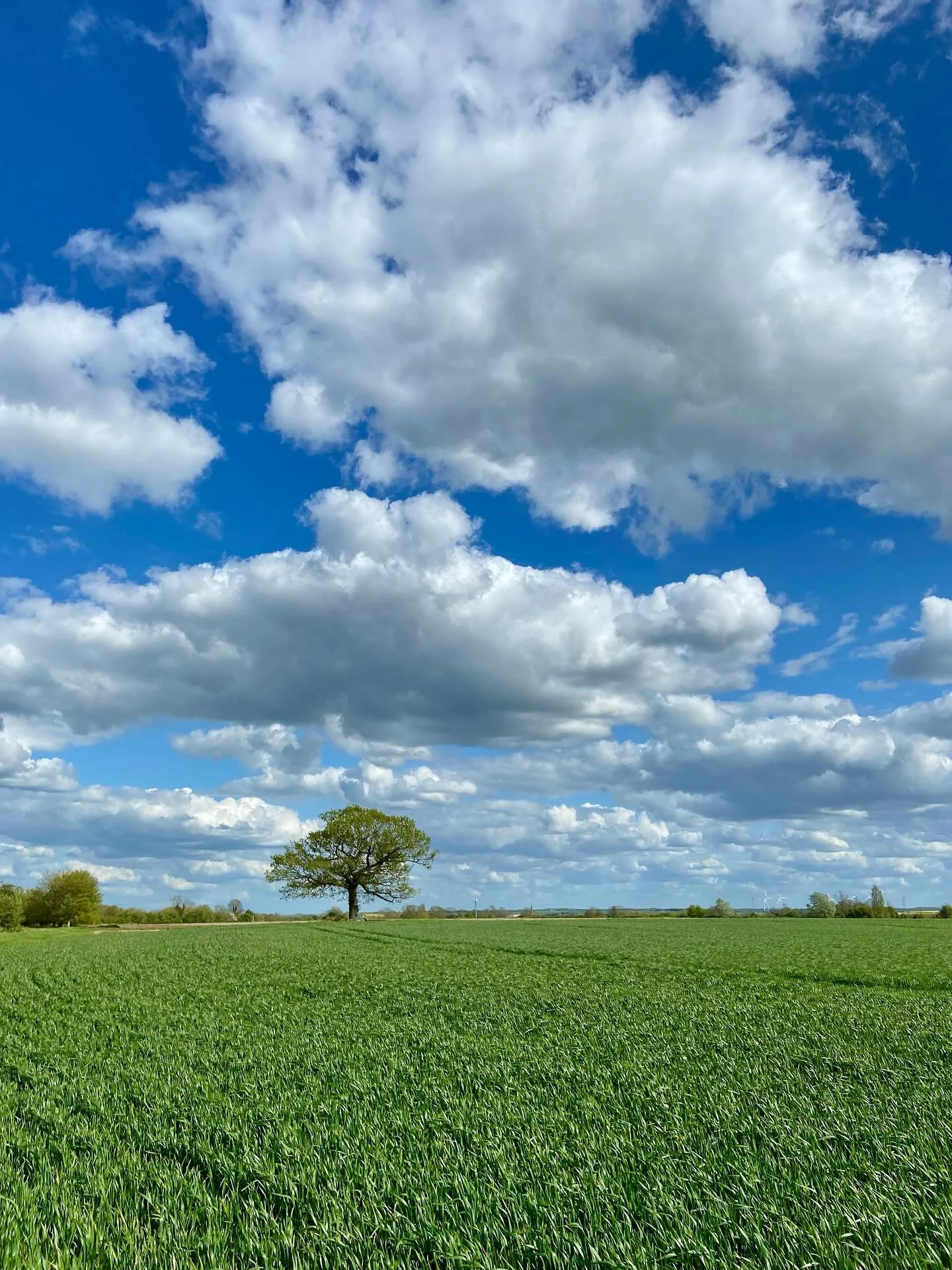 A few pics from our walks this weekend ☀️ We've been having such lovely spring weather! I love how green everything is this time of year. Today I spent some time packing for my trip to Cornwall 🌊 I couldn't be more excited! Have a great start to you