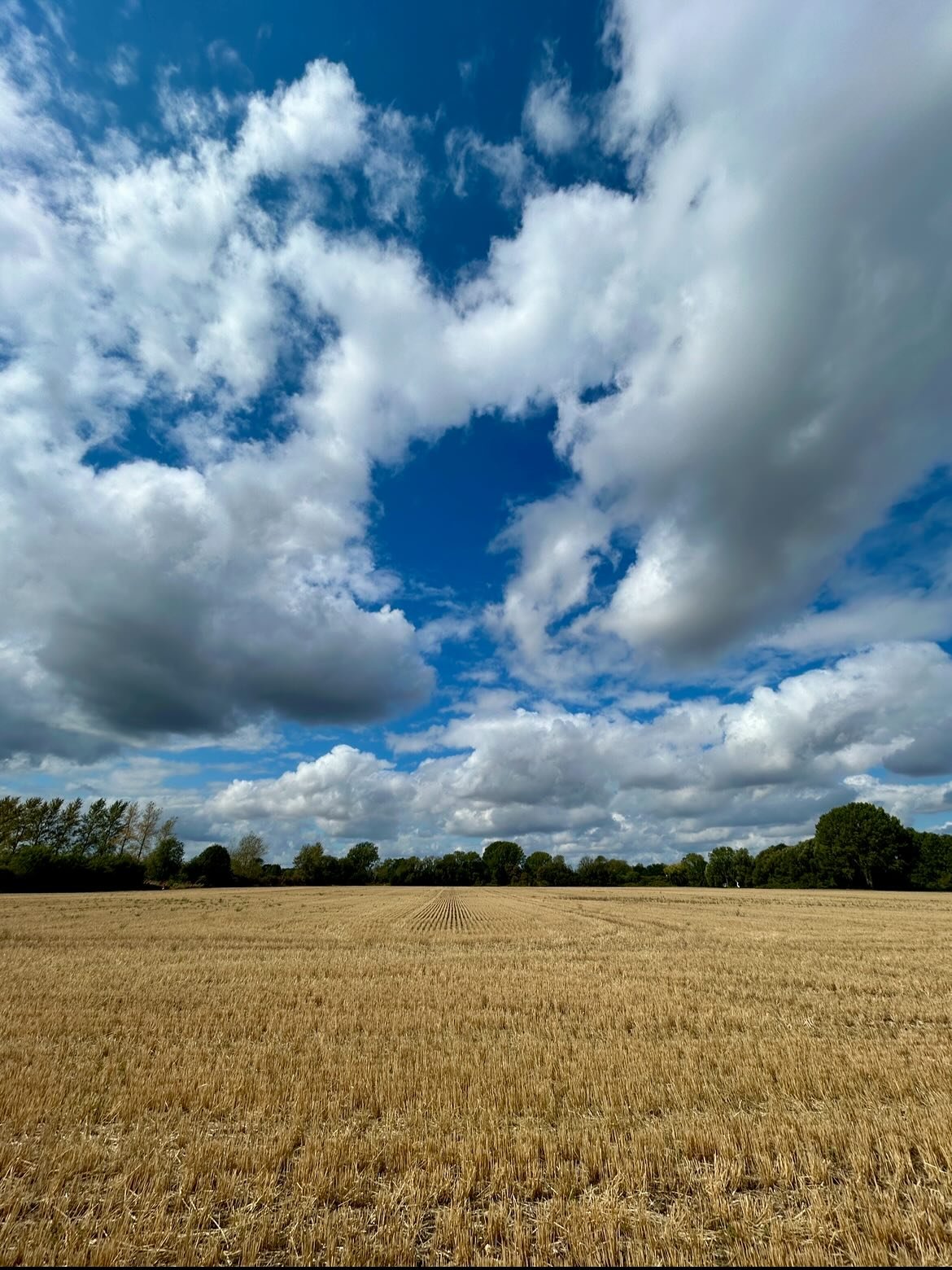 Lovely cloudscapes and bursts of colour on our walks this week. It's beginning to feel a bit more like autumn and starting to look more like it too 🍁🍂 I have been brainstorming a new project which I find both energising and exhausting in equal meas