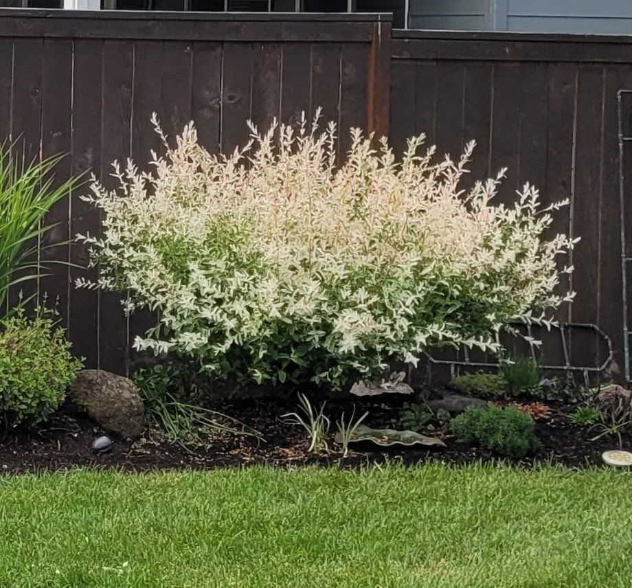 20240522_170354 (1).jpg