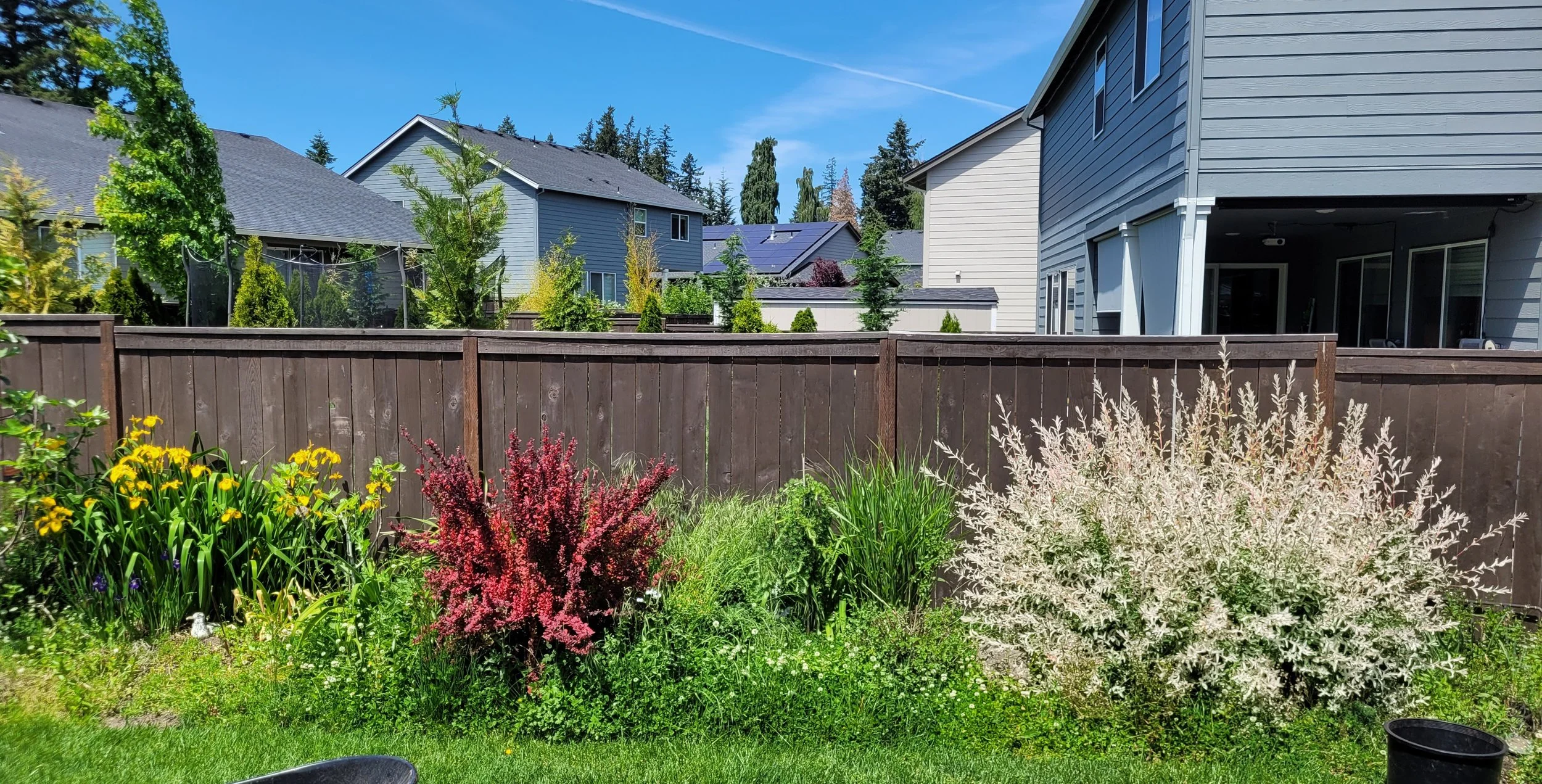 20240515_125639 (1).jpg