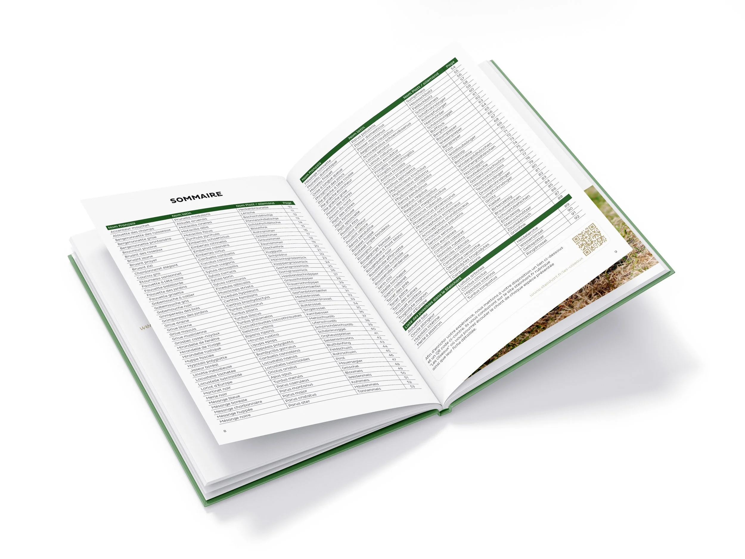 sommaire-livre-oiseaux-sauvages-du-steinhart-tome-1-interieur-steinhart-terre-dorigines.jpg
