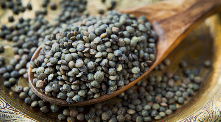 La lentille verte du Steinhart et le paradoxe français