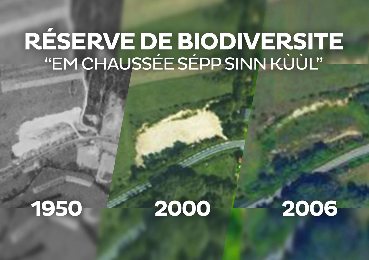 Evolution géologique du sanctuaire de biodiversité Claire Wernet