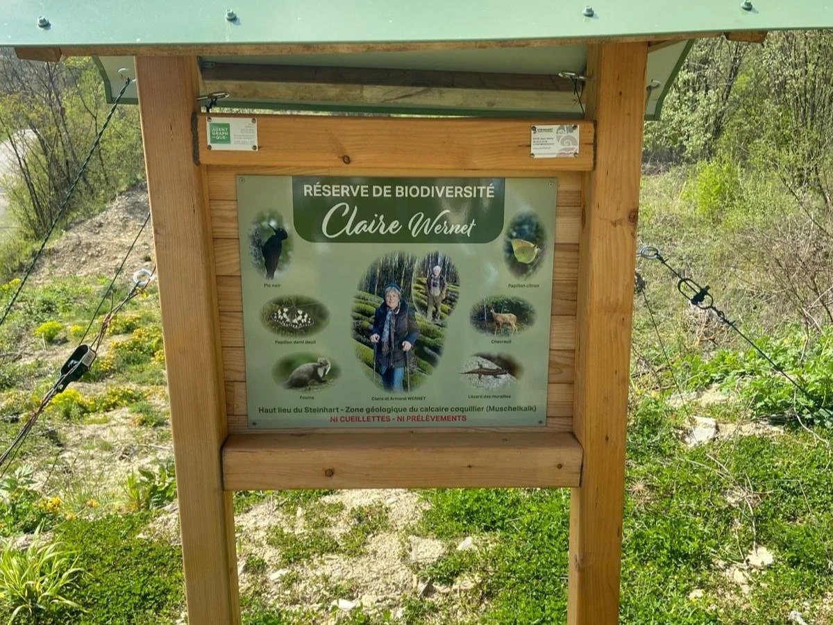 Inventaire des plantes du sanctuaire de biodiversité Claire Wernet