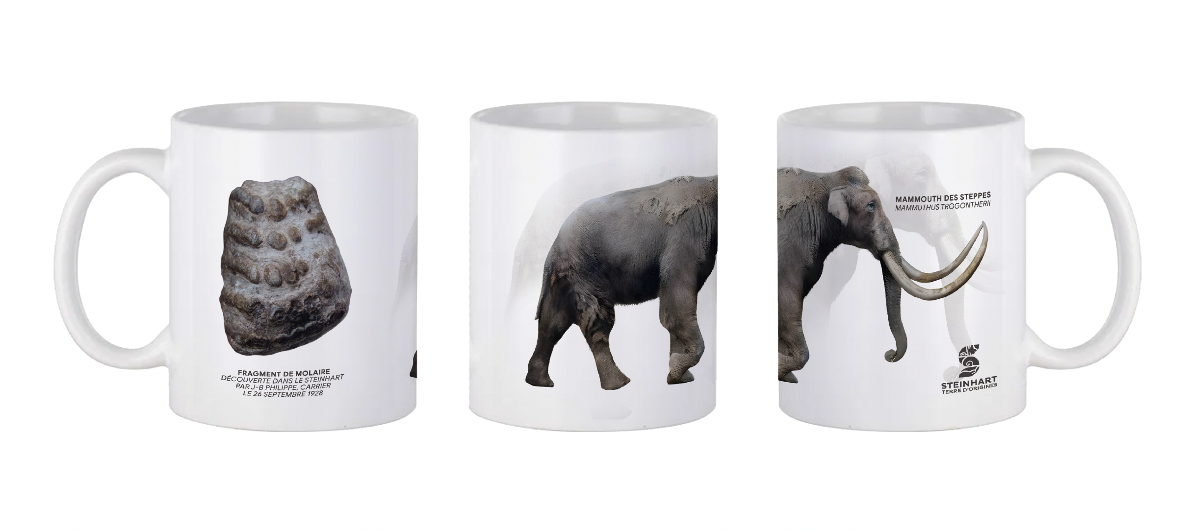 mug mammouth des steppes - steinhart terre dorigines.png