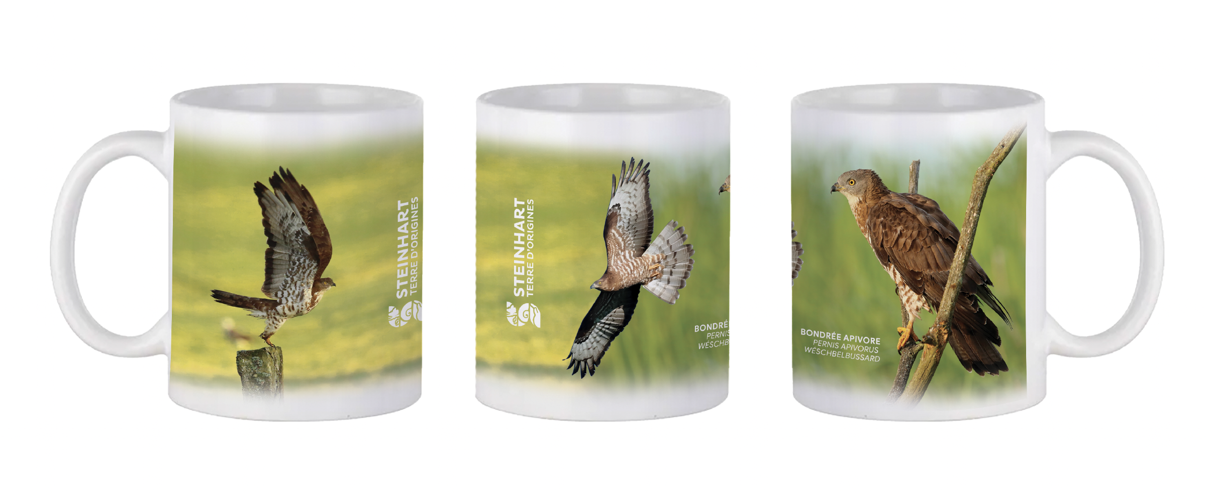 mug bondree apivore - steinhart terre dorigines.png