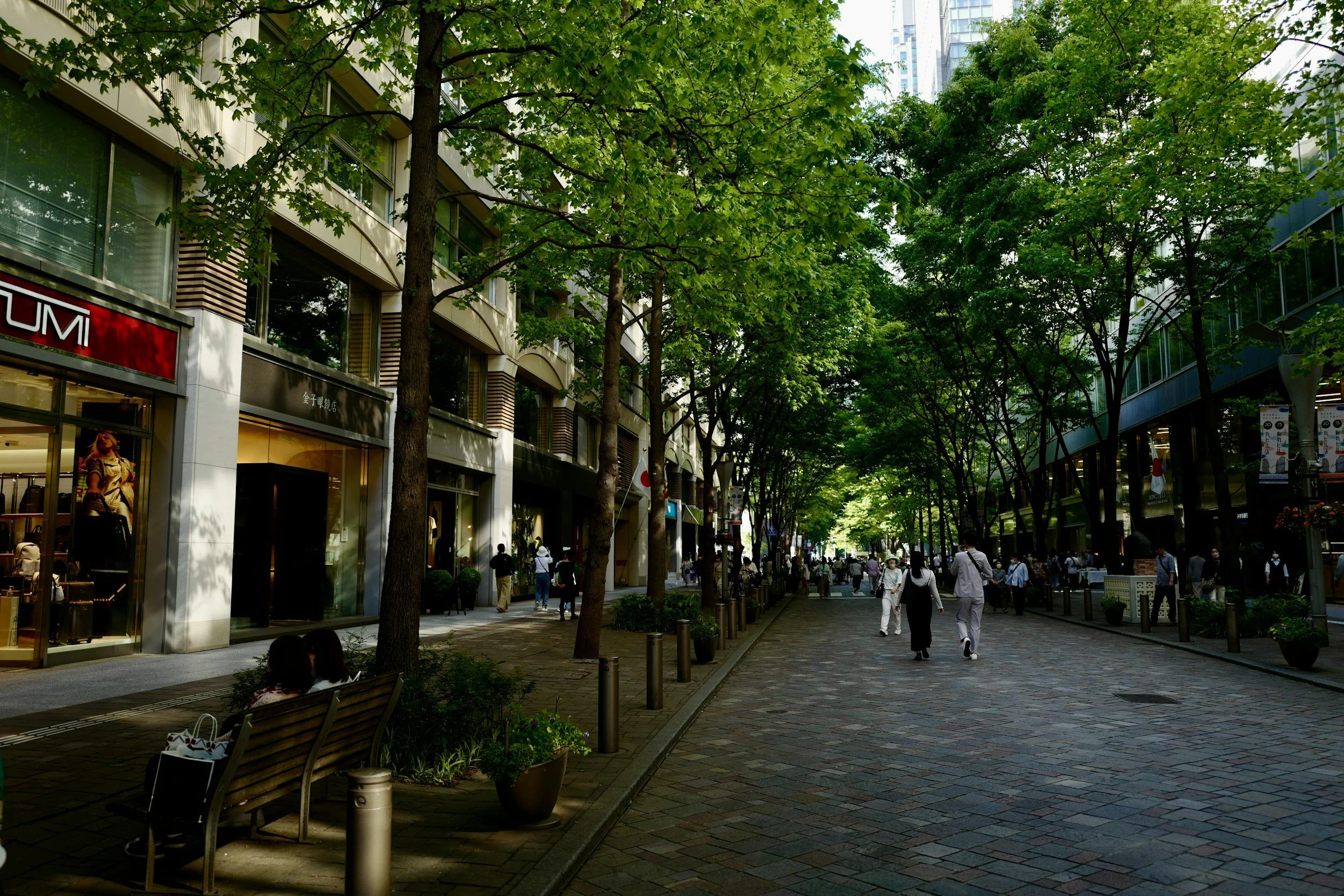 vegetalisation des villes-steinhart terre dorigines
