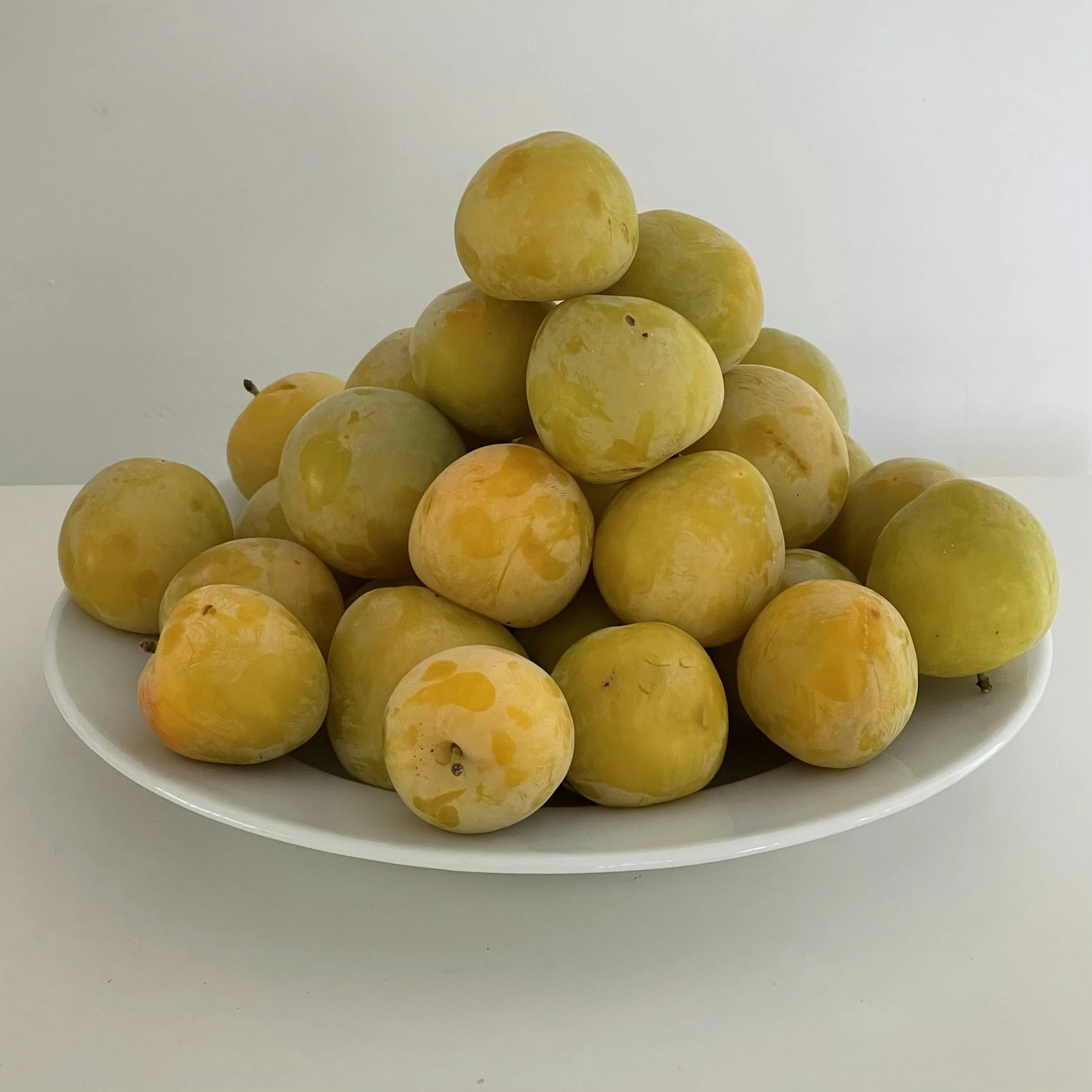 C’est la saison des fruits : sauvons le soldat Mirabellier