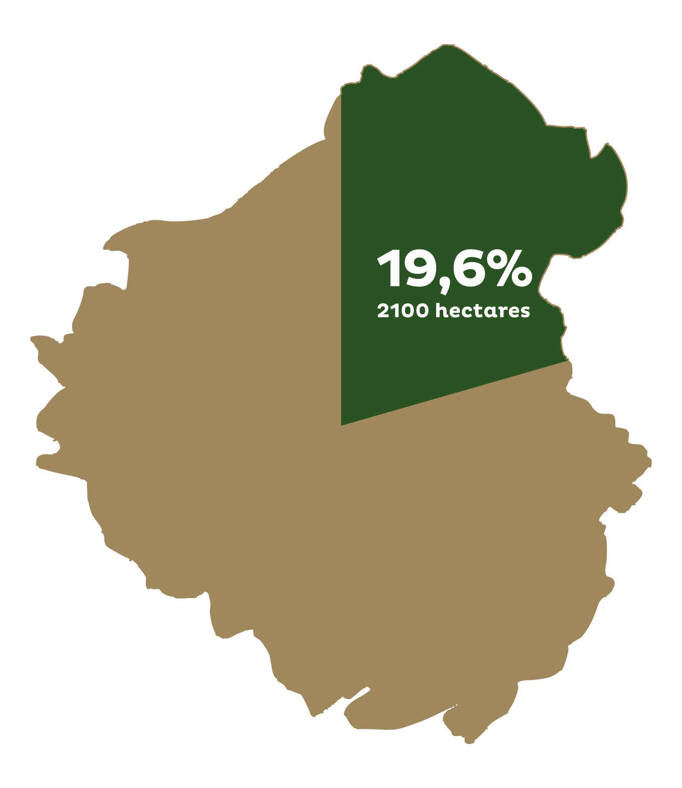 Carte du steinhart avec une section en vert indiquant 19,6% et 2100 hectares.